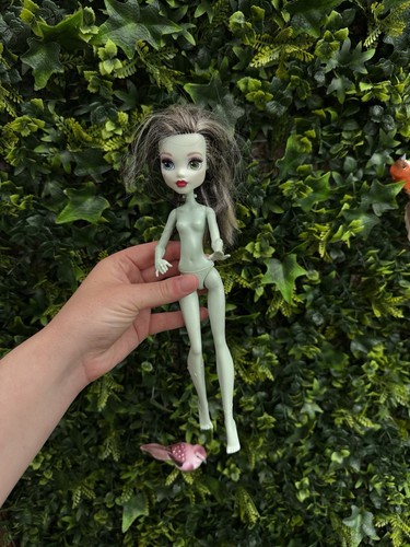 Monster high frankie stein - frankie,