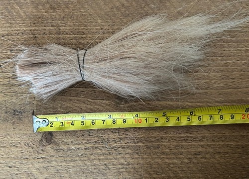 Real genuine horse hair - horse,