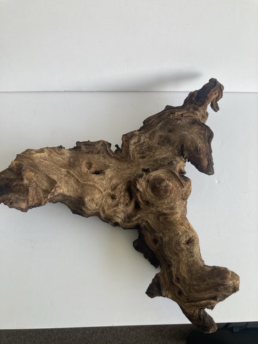 Large bog wood aquarium - large, /