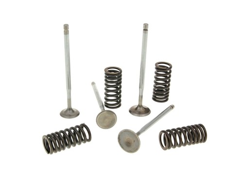 Cylinder head valves malossi - valves,