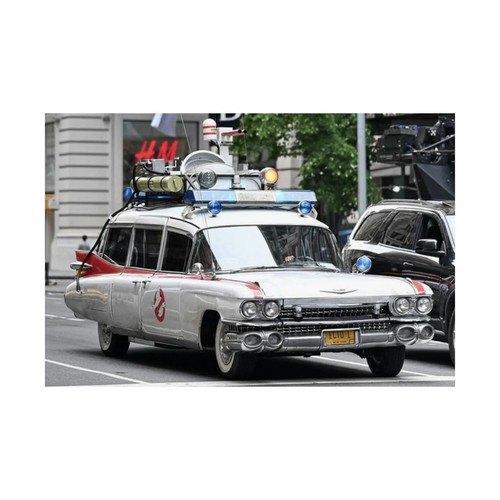 Poster ecto 1 - poster,,