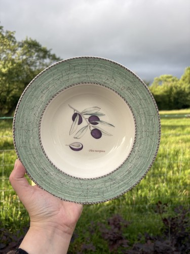 Wedgwood sarah garden flat - sarah's,