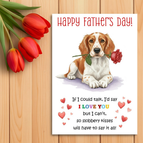 Brittany spaniel father - brittany, father’s
