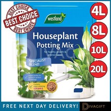 Houseplant potting mix compost - potting,