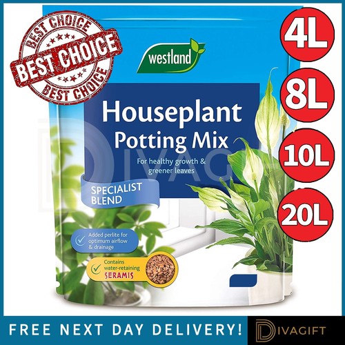 Houseplant potting mix compost - houseplant,
