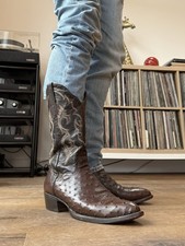 JB Dillon full Quill  Ostrich