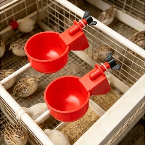 Automatic chicken water cup - automatic,