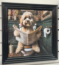 Black step frame Cocka Poo dog