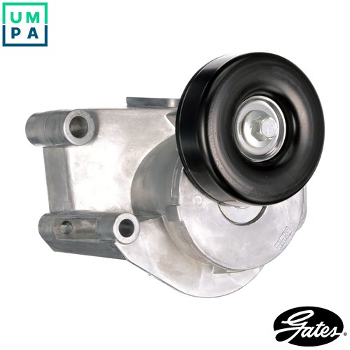 Belt tensioner vribbed - belt,