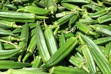 Vegetable - Okra - Clemsons