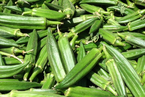 Vegetable okra clemsons - vegetable,