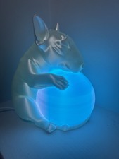 English bull terrier - english,