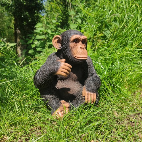 Vivid arts sitting chimpanzee - vivid,