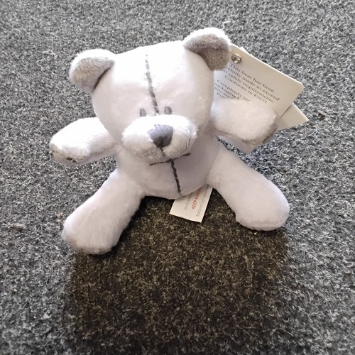 Sale new coco small - sale, teddy