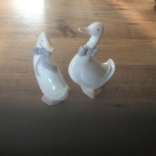china ducks