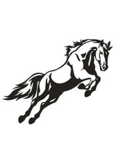 6” horse horsebox vinyl