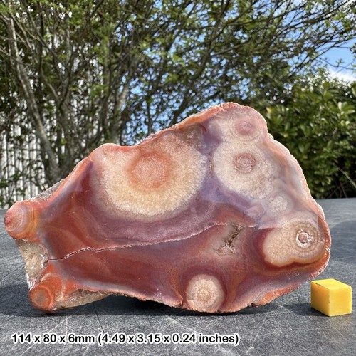 Dulcote agate polished - agate, slice