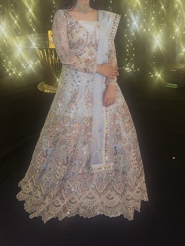 Pakistani lehnga choli indian - lehnga,