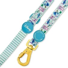 Pawsome Paws Boutique Disney Lead