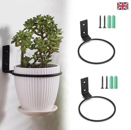 Flower pot plant - 1x, ring