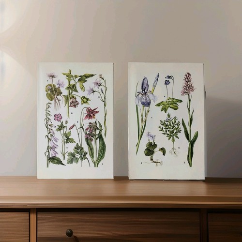 Vintage wildflowers botanical - vintage,