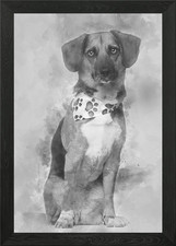 Dog cross breed with a bea