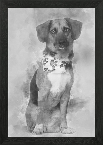 Dog cross breed - with, a