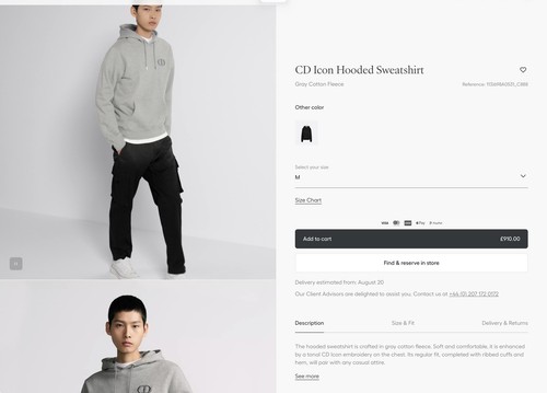 Dior homme grey icon - dior,