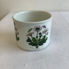 Portmeirion The Botanic Garden