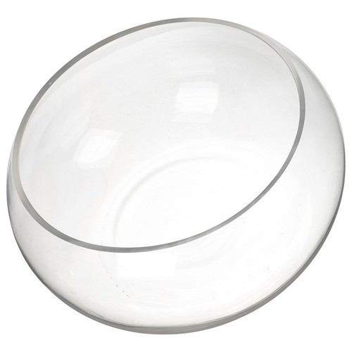 Simple glass fish - ,