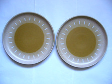 DENBY ODE 2 X DINNER PLATES