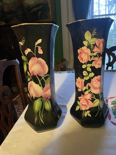 Rare pair early midwinter - pair,