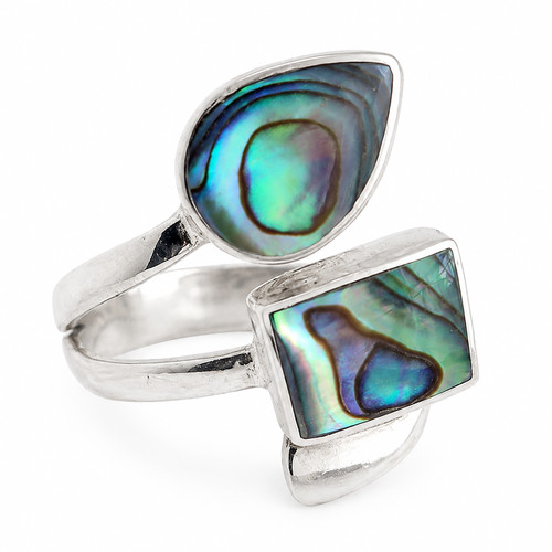 Paua abalone shell - shell, 925