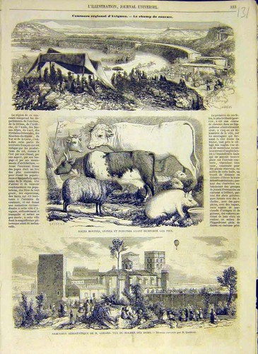 Original old antique print - old,