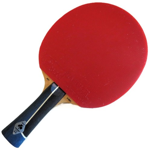 Gambler ping pong paddle - paddle, bat
