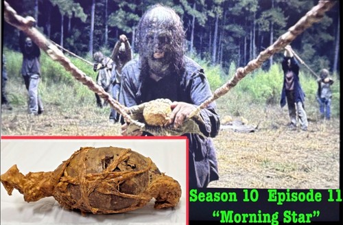 The walking dead prop - the, used