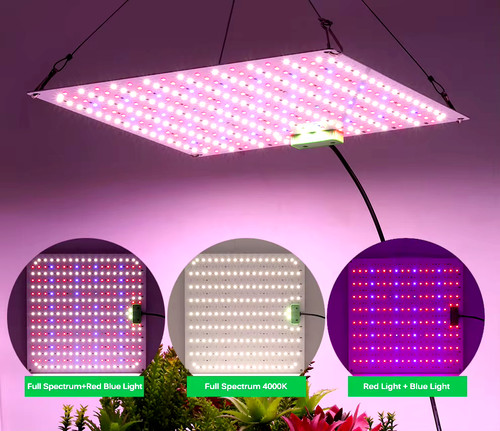 Samsung lm281b led grow - samsung,