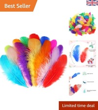 Pack of 300 Colourful Rooster