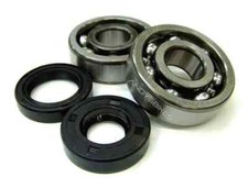 Crank Bearing Seals Bearings