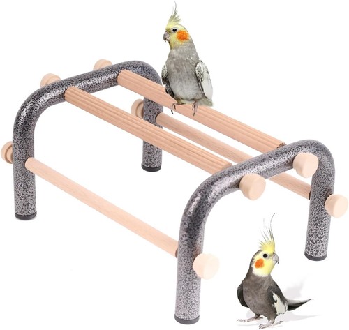 Small bird training - training, perch