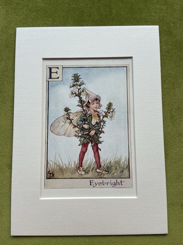 Eyebright flower fairy - ‘eyebright’,