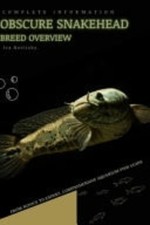 Obscure snakehead from novice - obscure,
