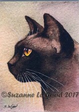 ACEO BROWN BURMESE CAT MOUNTED