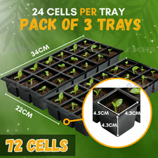 Packs of THREE 24pc Cell Plant