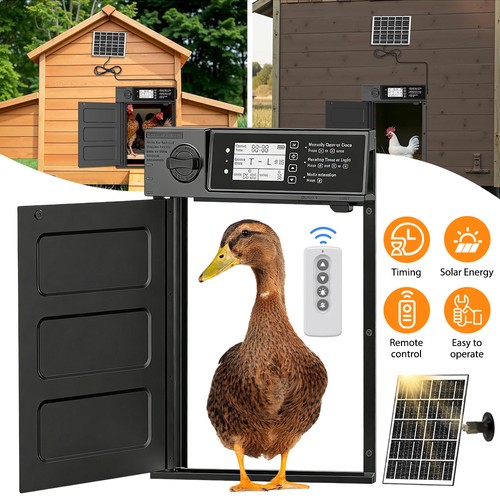 Chicken coop door - coop,