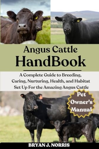 Angus cattle complete - cattle:,