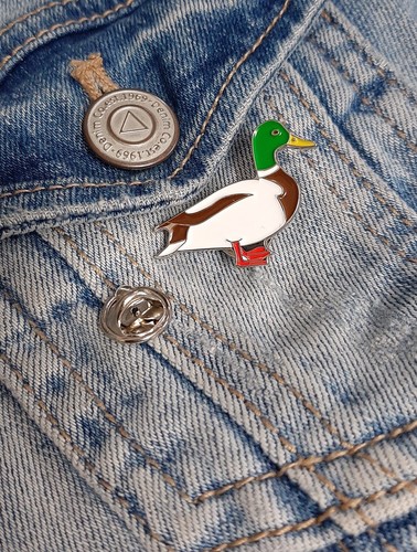 Mallard duck bird - bird, pin