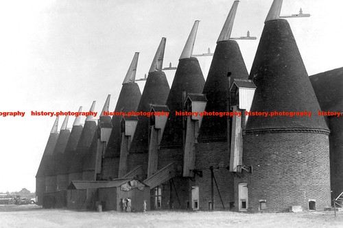 F014434 the oast houses hop - f014434,