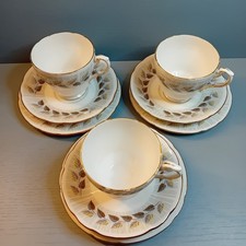 Paragon “Olympus” Fine