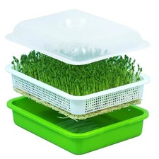 Microgreen Sprouter Tray